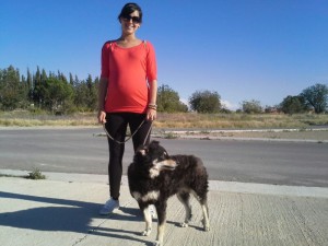 Pasear en el embarazo
