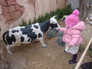 animales