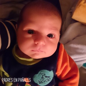 bebe