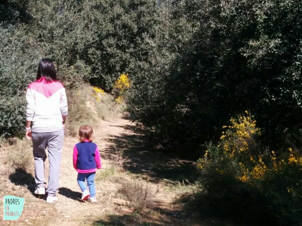 planes-primavera-excursion