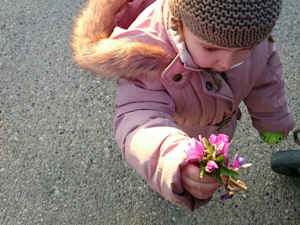 planes-primavera-flores
